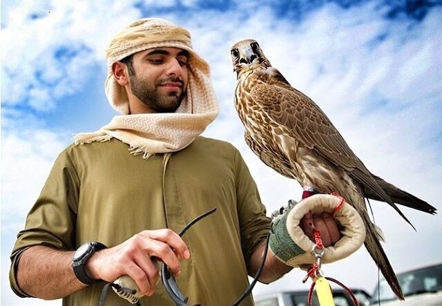 یک اتفاق ترسناک برای محیط زیست؛ بازار دلاری پرنده‌های شکاری