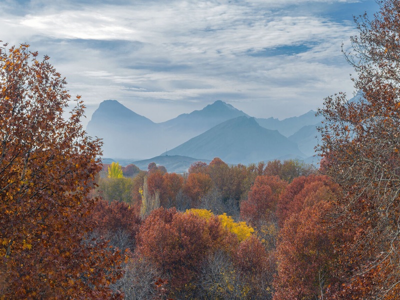 معرفی جنگلهای نزدیک تهران //// نوروز معرفی جنگلهای نزدیک تهران //// نوروز