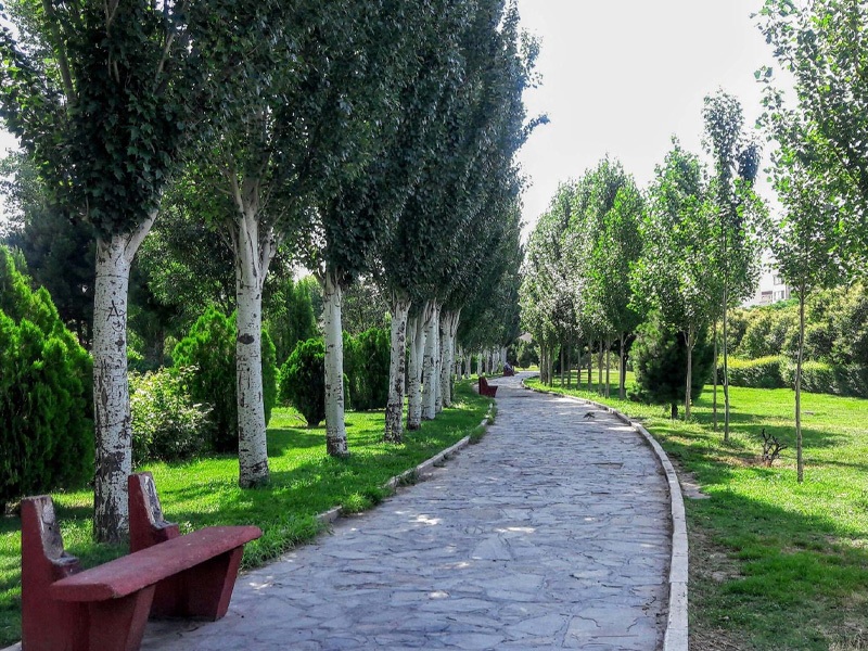 معرفی جنگلهای نزدیک تهران //// نوروز معرفی جنگلهای نزدیک تهران //// نوروز