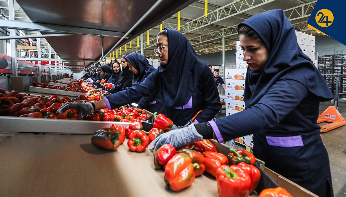 فعال کارگری: زنده‌ماندن در ایران دیگر نمی‌صرفد | عکس: مهدی الماسی | خبرگزاری مهر