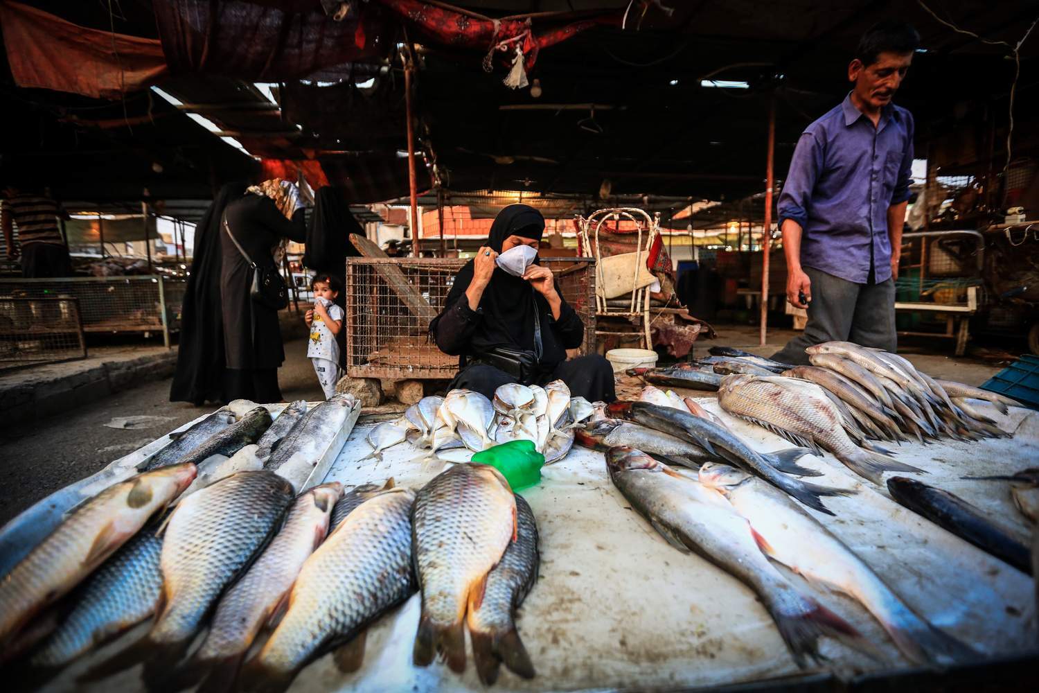 انگلیسی حرف زدن جالب پیرمرد اهوازی وایرال شد انگلیسی حرف زدن جالب پیرمرد اهوازی وایرال شد