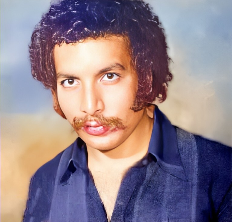 به یاد بهمن مفید