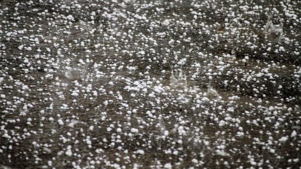 ویدئویی جالب از بارش شدید تگرگ در مهاباد ویدئویی جالب از بارش شدید تگرگ در مهاباد