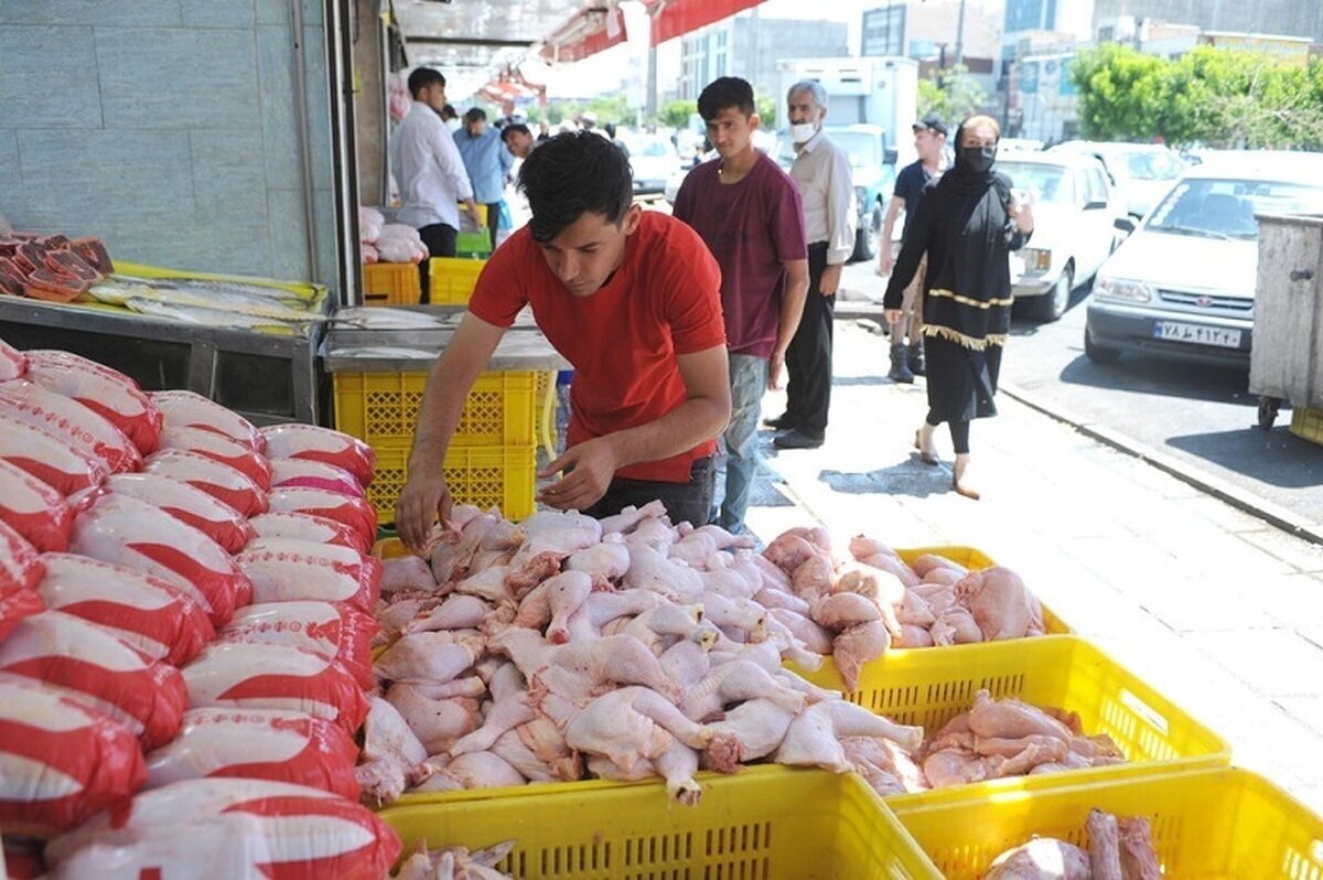 صادرات مرغ؛ منتظر گرانی باشیم؟