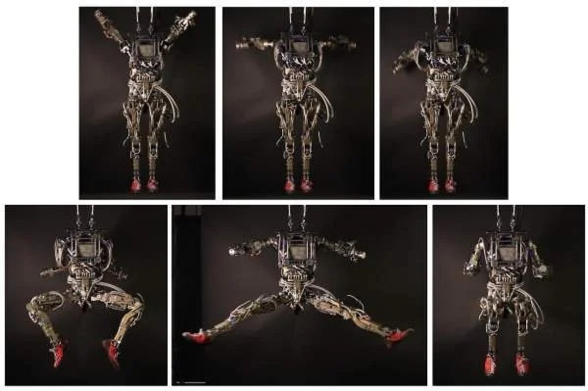 پتمن؛ ربات انسان نمای نظامی آمریکا پتمن؛ ربات انسان نمای نظامی آمریکا