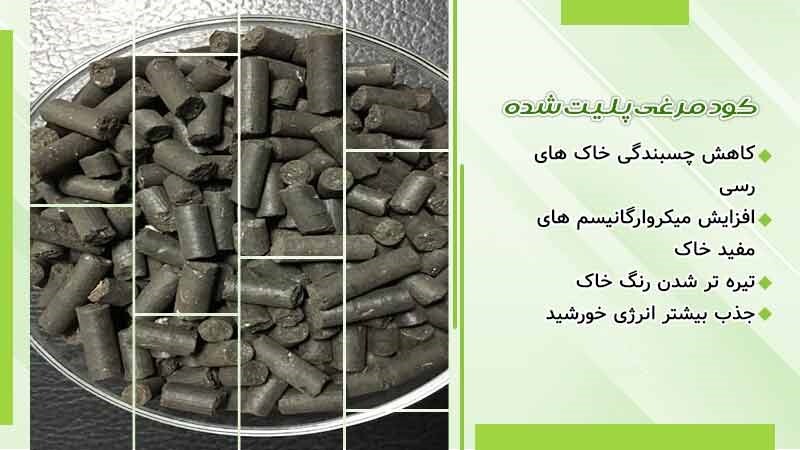 خرید بهترین کود مرغی مایع، پلیت شده خرید بهترین کود مرغی مایع، پلیت شده