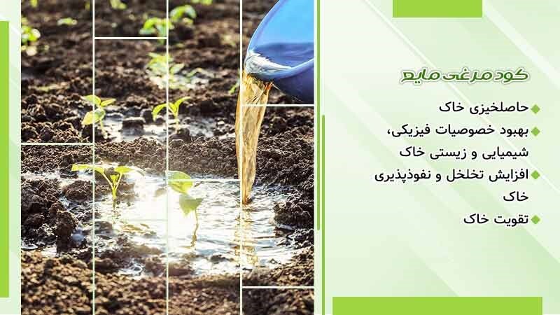 خرید بهترین کود مرغی مایع، پلیت شده خرید بهترین کود مرغی مایع، پلیت شده