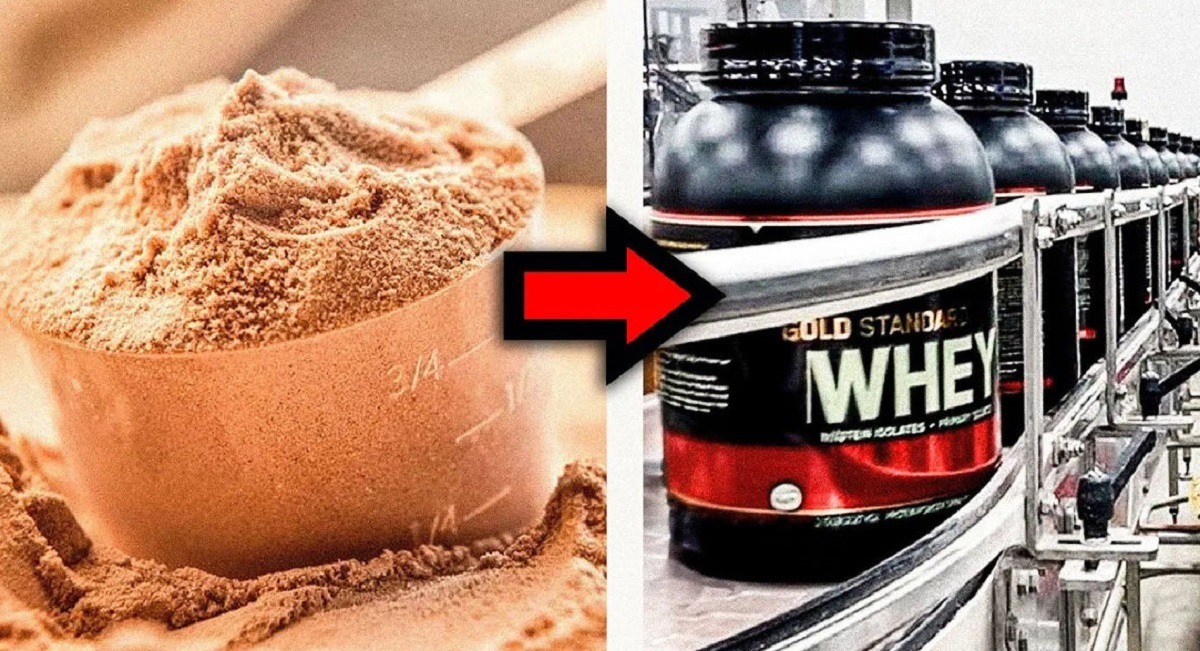 پودر پروتئین WHEY پودر پروتئین WHEY