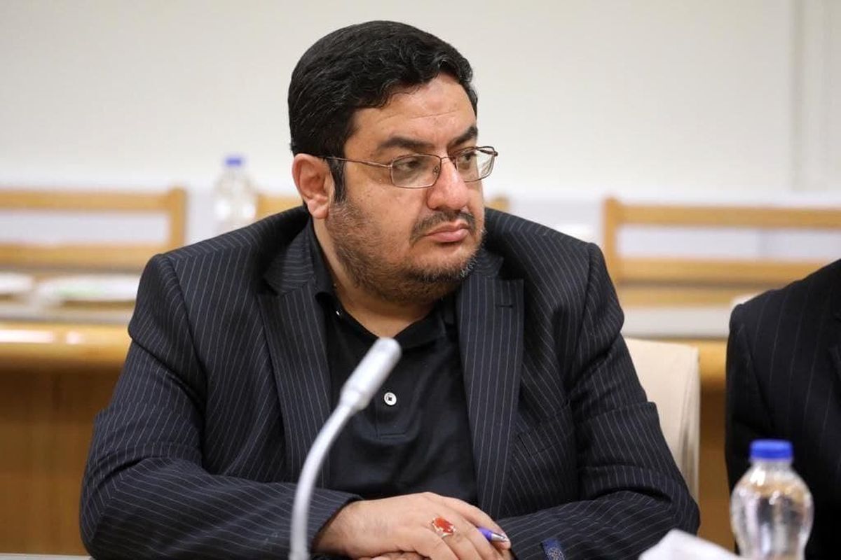 معاون استاندار تهران: مقابله با اتباع مثل جنگیدن در زمان جنگ است معاون استاندار تهران: مقابله با اتباع مثل جنگیدن در زمان جنگ است