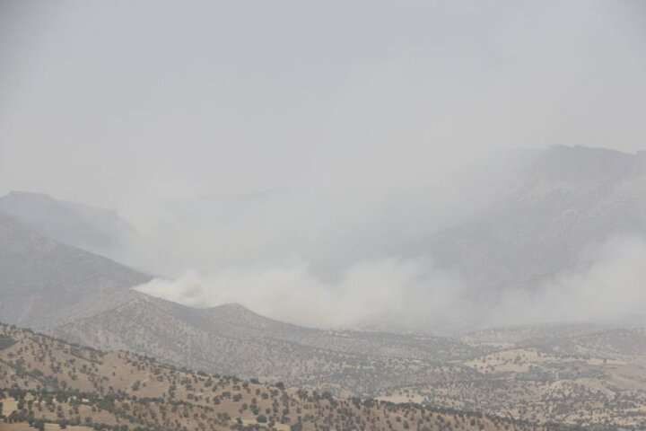 آتش به جنگل‌های پلدختر رسید | درخواست اعزام هلی‌کوپتر به منطقه