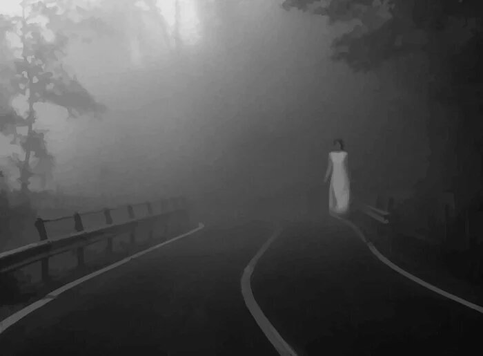 ترسا فیدالگو کیست؟