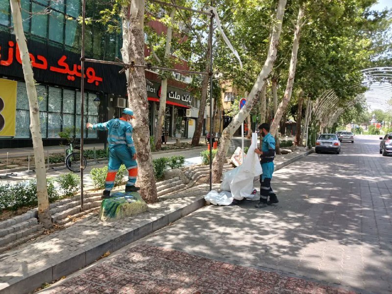 جمع آوری بنرهای پزشکیان توسط شهرداری مشهد +عکس جمع آوری بنرهای پزشکیان توسط شهرداری مشهد +عکس