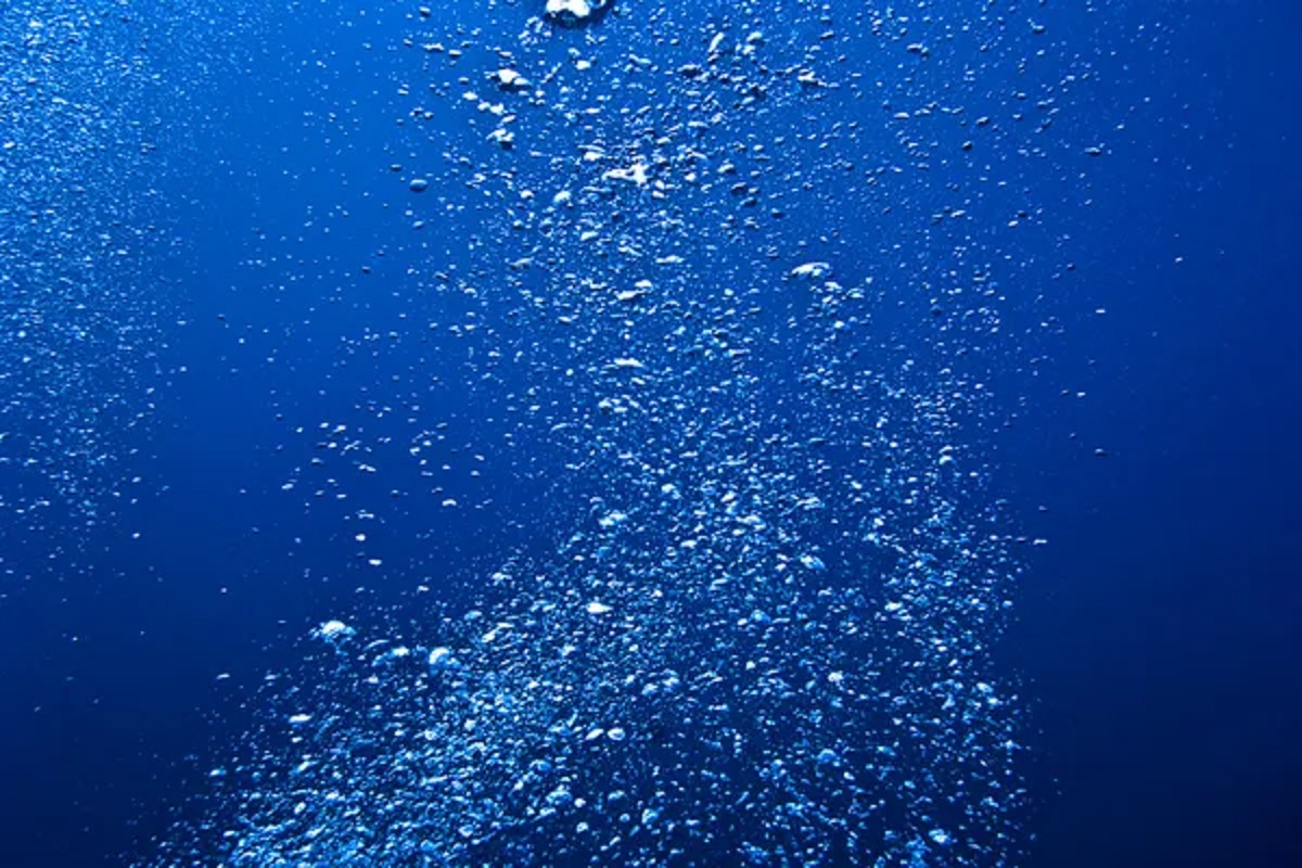 چالشی جدید برای قانون تکامل داروین| اکسیژن تاریک کف اقیانوس‌ها تکامل را به چالش کشید