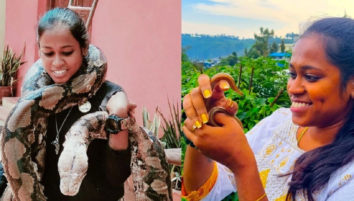 مارگیری زن هندی مارگیری زن هندی