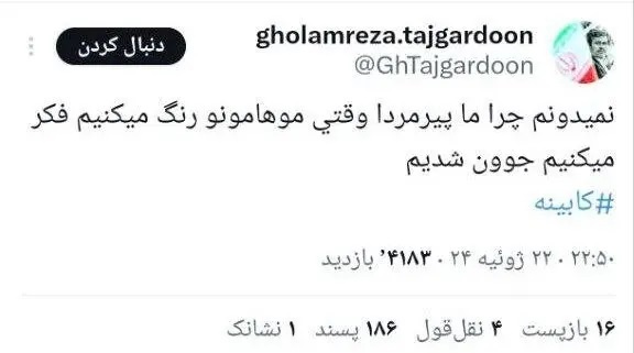 کنایه تاجگردون به سهمخواهان کابینه پزشکیان کنایه تاجگردون به سهمخواهان کابینه پزشکیان