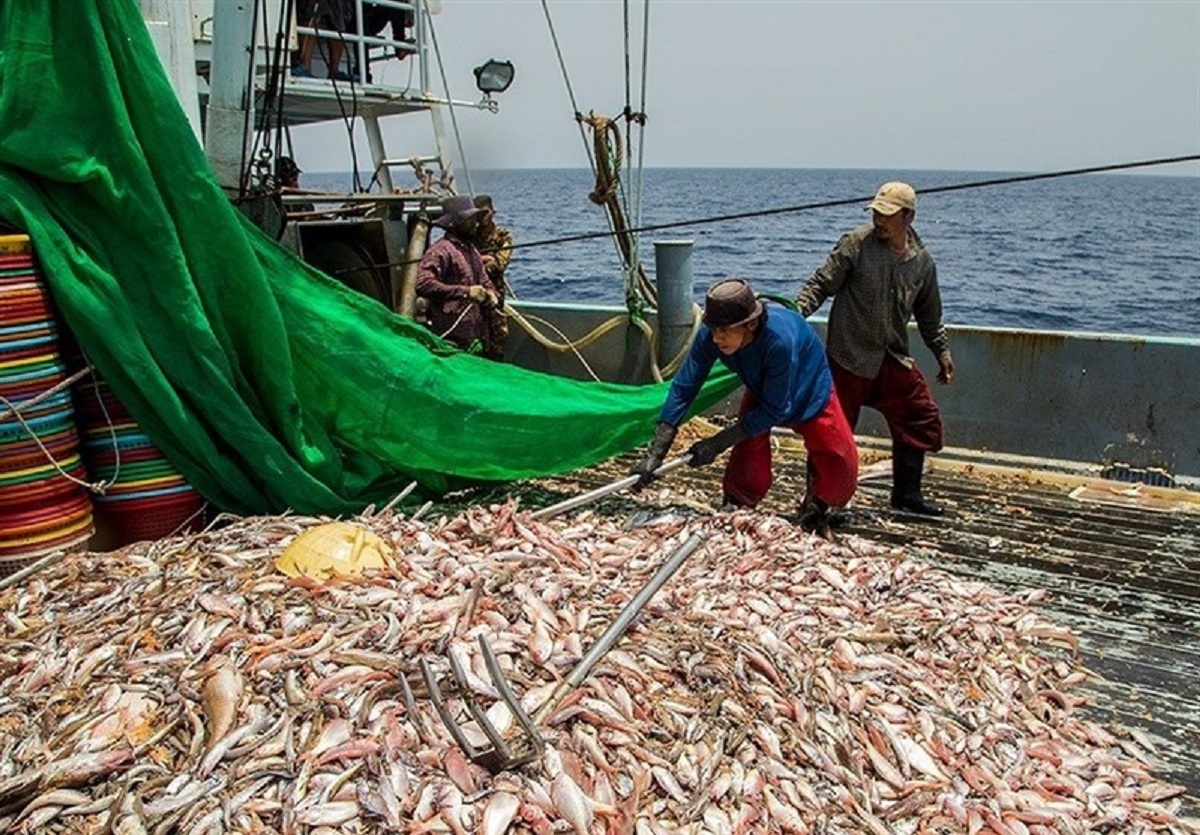 صید ماهی صید ماهی