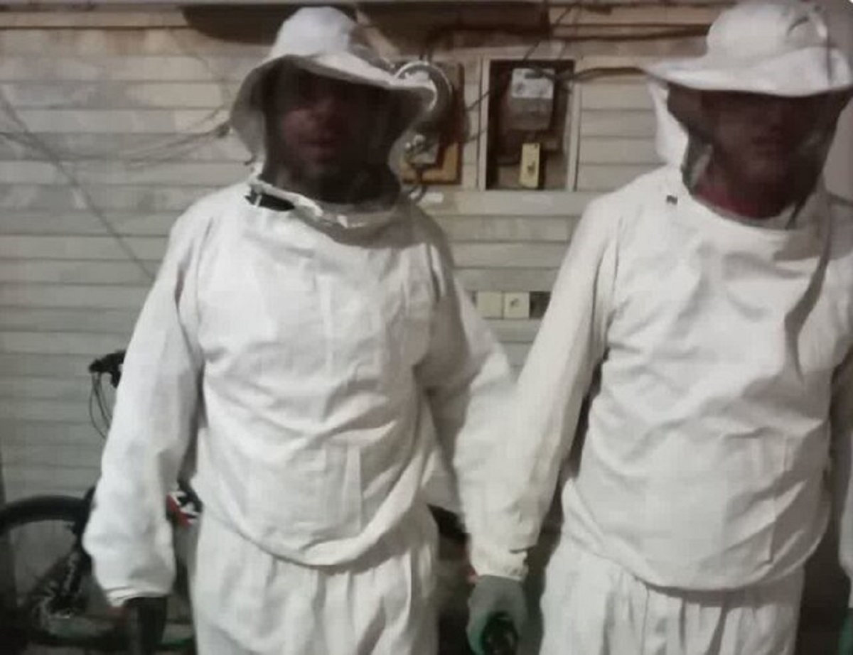 حمله زنبور به خانه مسکونی حمله زنبور به خانه مسکونی