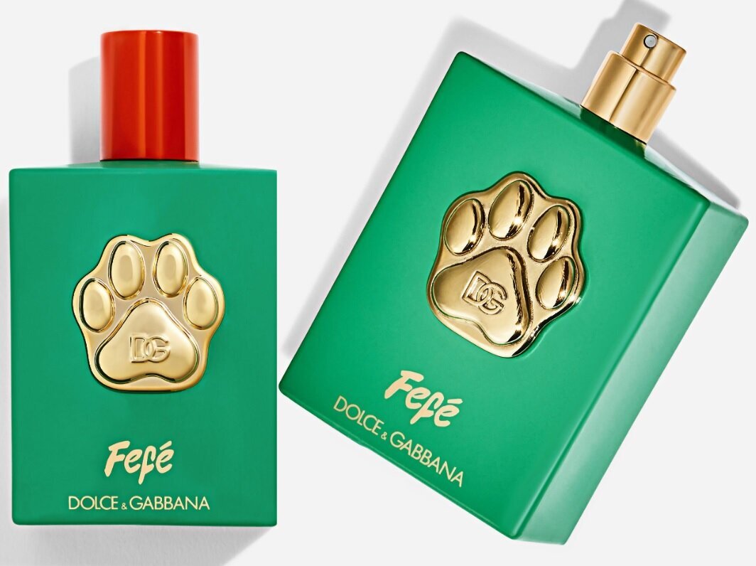 عطری جدید برند دولچهگابانا برای سگها؛ هر ۱۰۰ میلیلیتر ۱۰۸ دلار! عطری جدید برند دولچهگابانا برای سگها؛ هر ۱۰۰ میلیلیتر ۱۰۸ دلار!