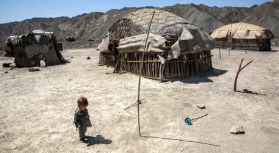 دام استانهای کشور در معرض سوءتغذیه هستند؟ دام استانهای کشور در معرض سوءتغذیه هستند؟