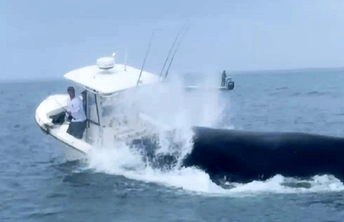 واژگونی قایق ماهیگیری واژگونی قایق ماهگیری