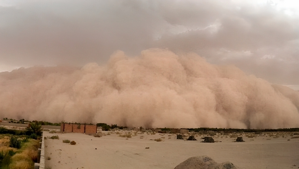 ببینید| طوفان شدید گردوخاک در شهرستان خواف ببینید| طوفان شدید گردوخاک در شهرستان خواف