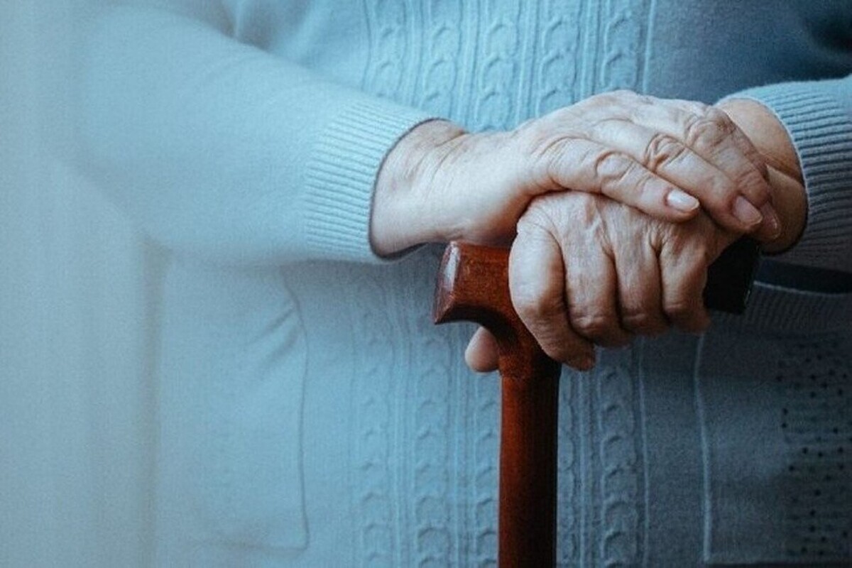 دسیسه هولناک فامیل برای سرقت طلاهای پیرزن تنها دسیسه هولناک فامیل برای سرقت طلاهای پیرزن تنها