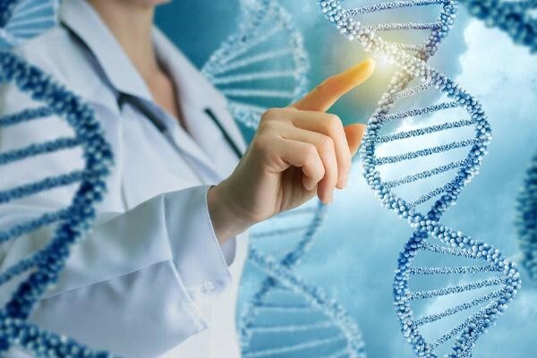 ژنتیک ژنتیک