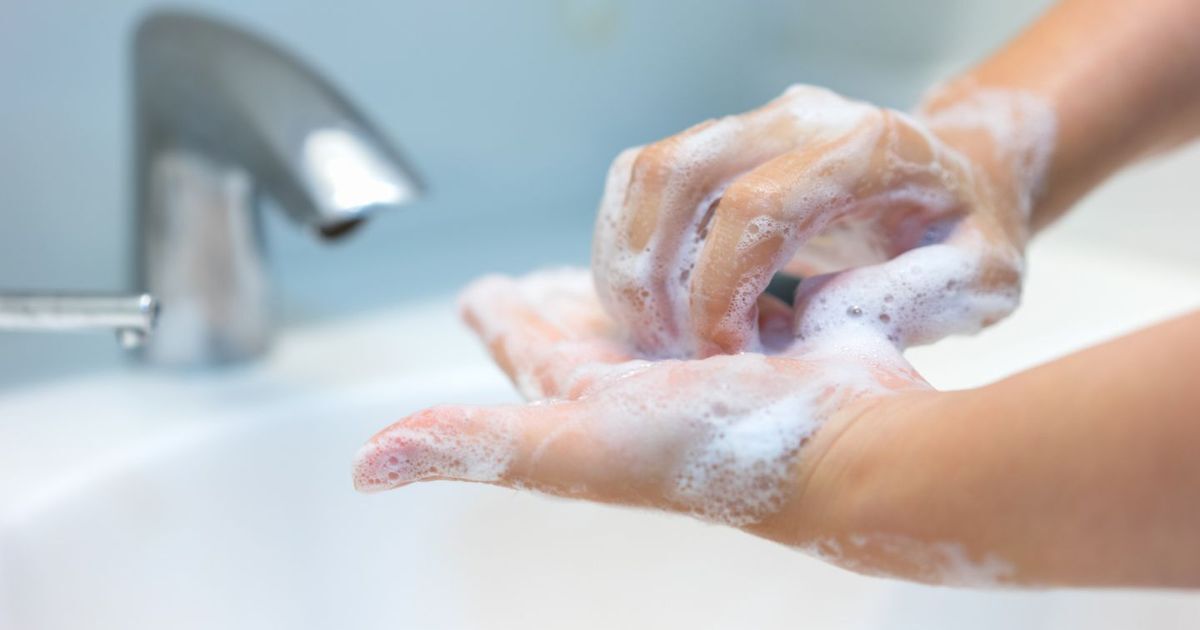 چگونه و چه هنگام دستهایمان را بشوییم؟ چگونه و چه هنگام دستهایمان را بشوییم؟