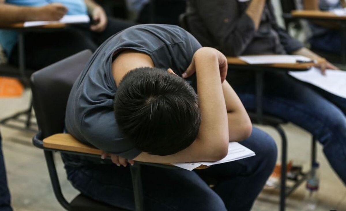 نسل زد نسل زد