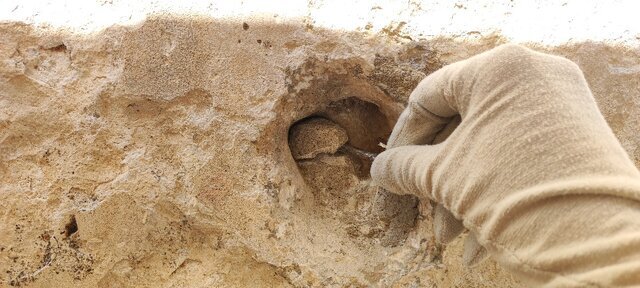 از مصائب مرمت تا نگرانی بزرگ درباره آرامگاه کوروش از مصائب مرمت تا نگرانی بزرگ درباره آرامگاه کوروش