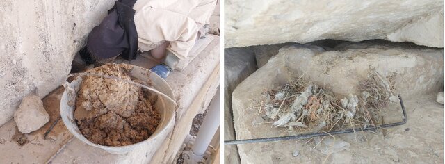 از مصائب مرمت تا نگرانی بزرگ درباره آرامگاه کوروش از مصائب مرمت تا نگرانی بزرگ درباره آرامگاه کوروش