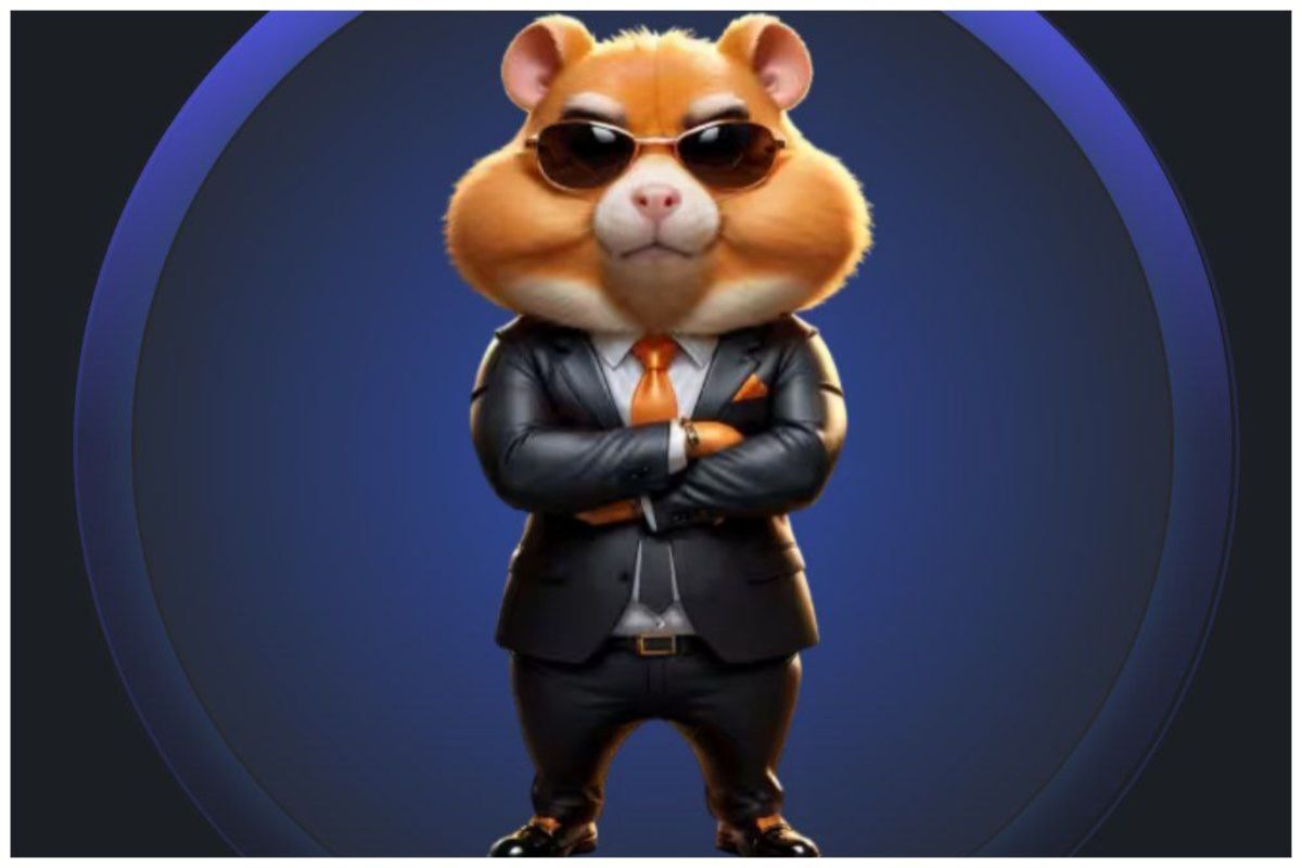 قیمت همستر کامبت ۴۰ برابر شد! قیمت همستر کامبت ۴۰ برابر شد!