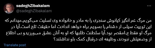 زیباکلام: در مرگ کیانوش سنجری سلطنتطلبان هم مقصر بودند زیباکلام: در مرگ کیانوش سنجری سلطنتطلبان هم مقصر بودند