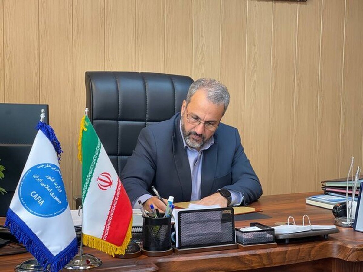 پاسخ مشاور وزیر کشور به ماجرای پول گرفتن از افغانستانی‌ها