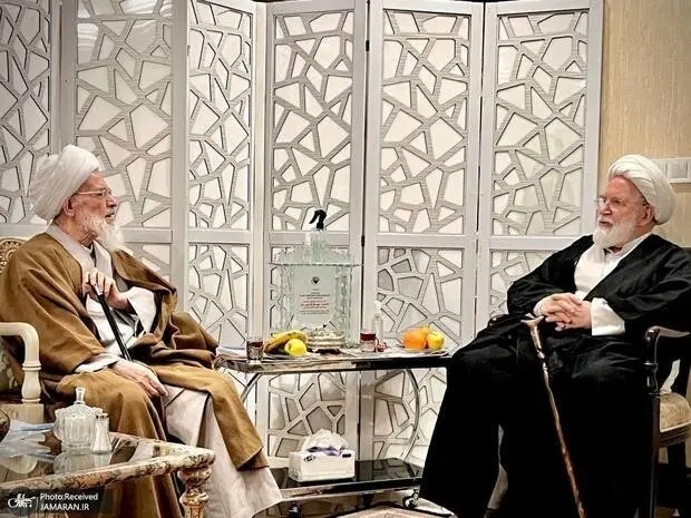 دیدار یک مرجع تقلید با مهدی کروبی + عکس