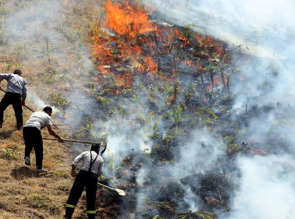 جزئیات آتش سوزی تالاب میانگران ایذه در خوزستان