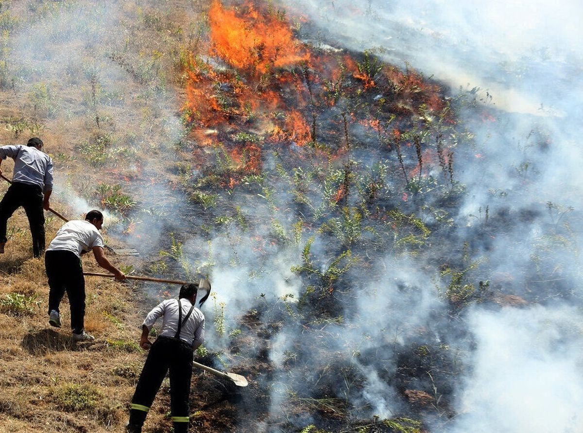 جزئیات آتش سوزی تالاب میانگران ایذه در خوزستان