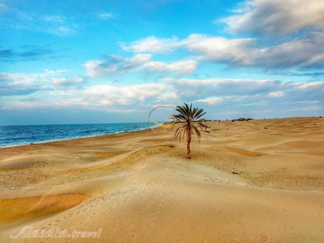 بلایی که مسئولان سر سواحل درک آوردند