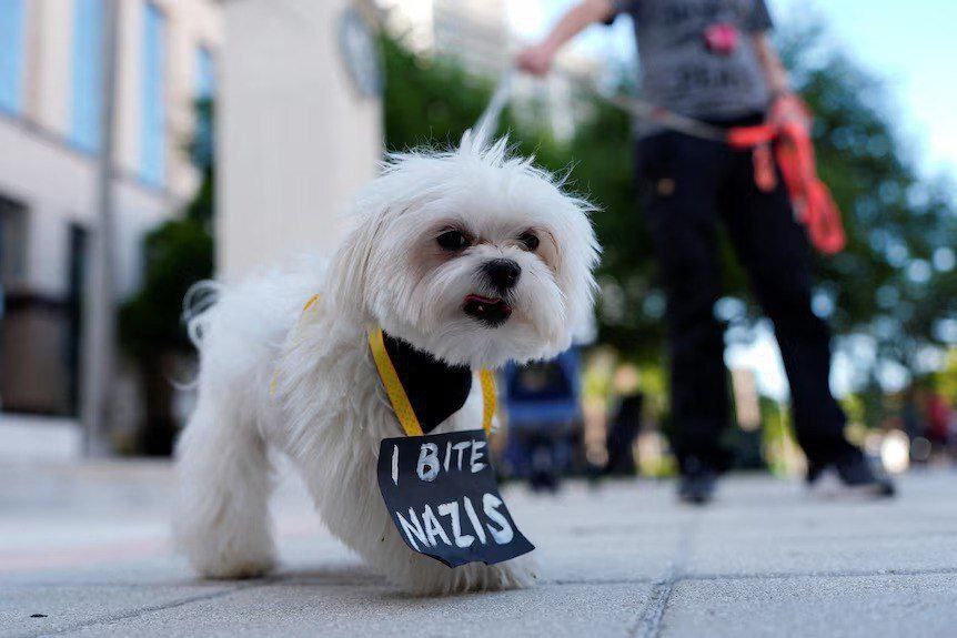 اعتراض آمریکایی ها علیه سیاست‌های ترامپ و ماسک +عکس