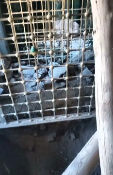  هرجا امامزاده هست گنج وجود دارد؟ + عکس