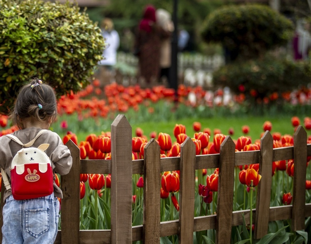 تصاویر دیدنی از جشنواره لاله‌ها در کرج