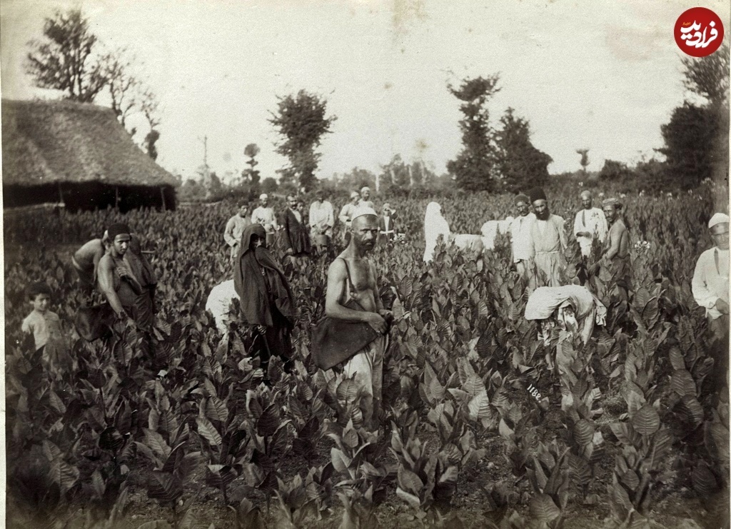 تصاویری که گذشته را زنده می‌کنند؛ گشت‌وگذاری در عکس‌های قاجاری