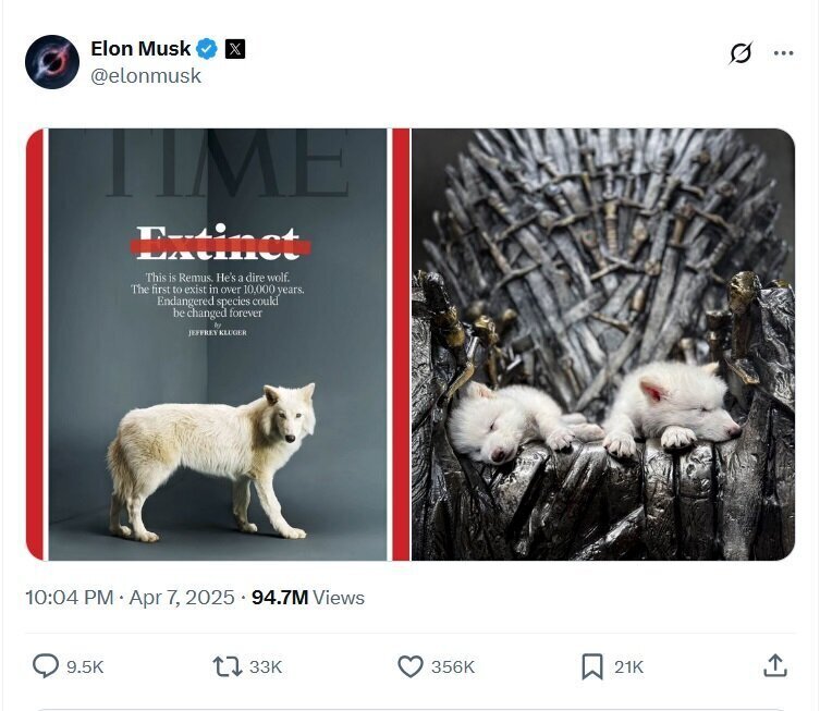 با حیوان خانگی عجیب ایلان ماسک آشنا شوید!