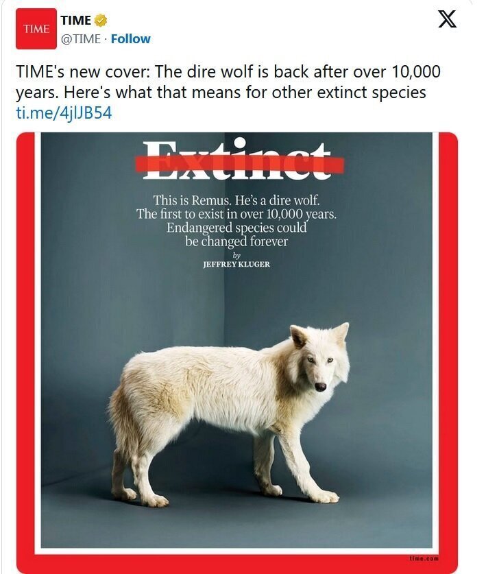 با حیوان خانگی عجیب ایلان ماسک آشنا شوید!