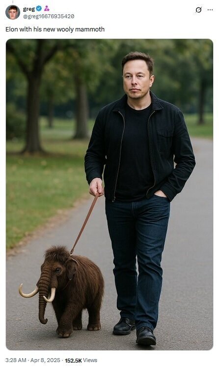 با حیوان خانگی عجیب ایلان ماسک آشنا شوید!