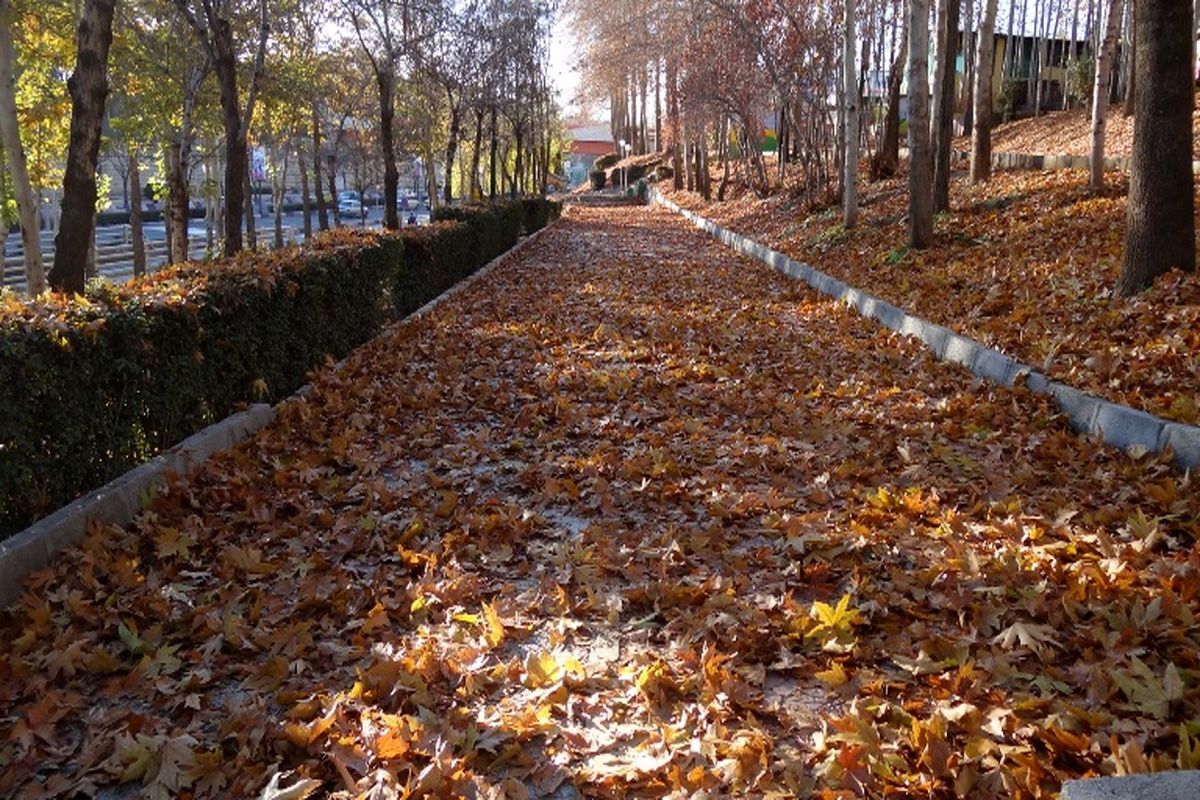 پاییز امسال دیرتر شروع خواهد شد!