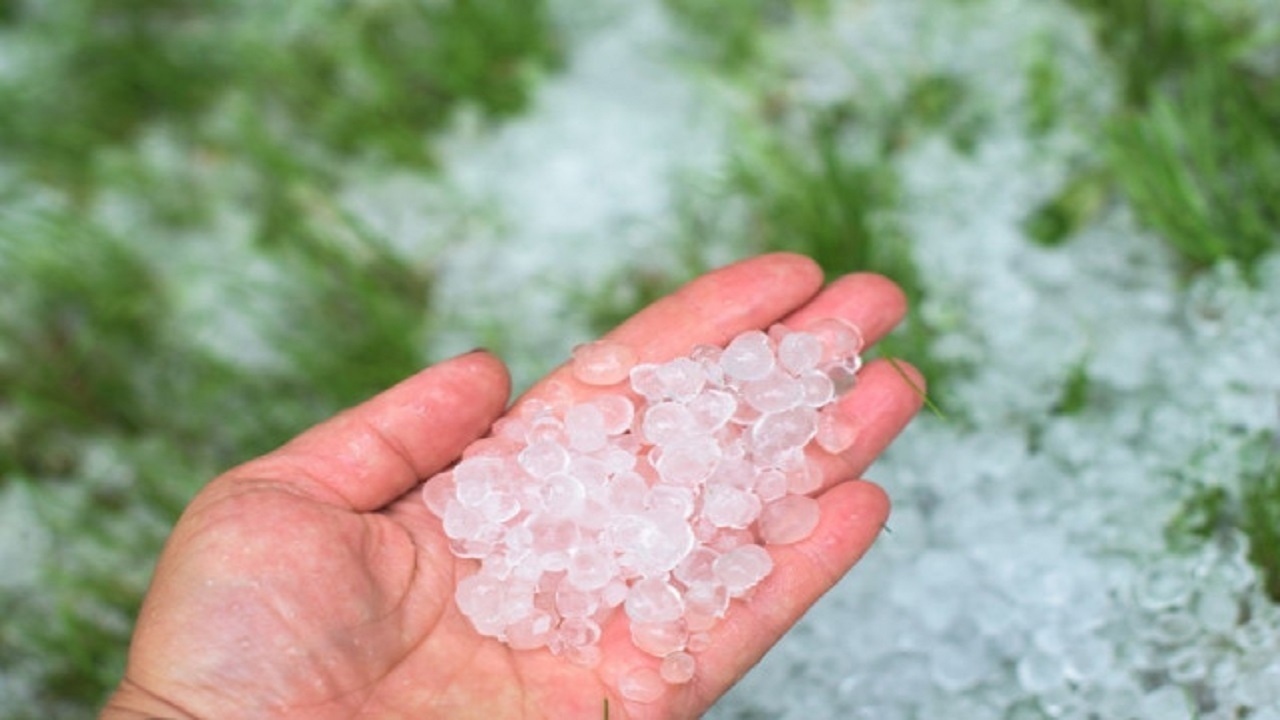 پیش‌بینی وضعیت آب و هوا تا پایان هفته | ریزش تگرگ در این منطقه