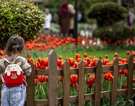 تصاویر دیدنی از جشنواره لاله‌ها در کرج