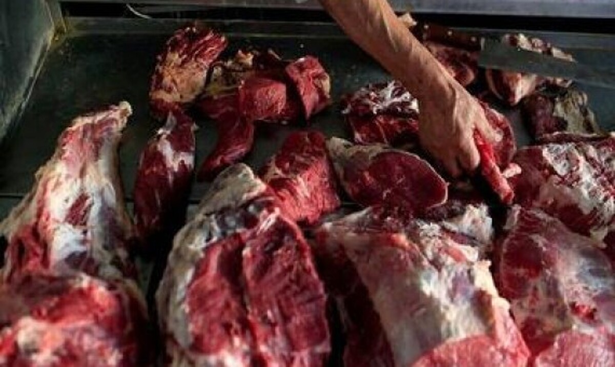 ببینید| ویدئویی هولناک از کشف انبار مخفی گوشت سگ!