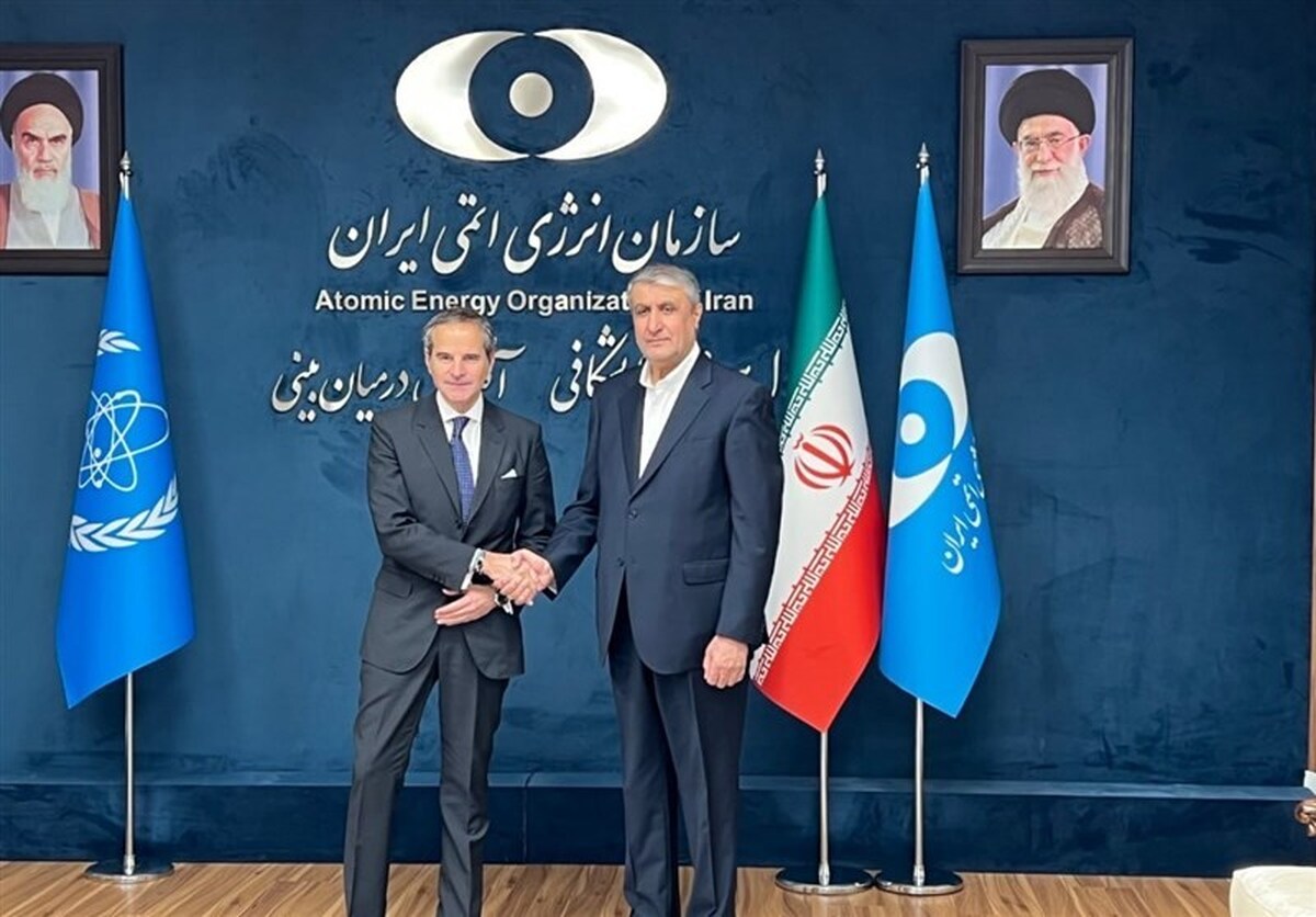 گروسی با رییس سازمان انرژی اتمی دیدار کرد